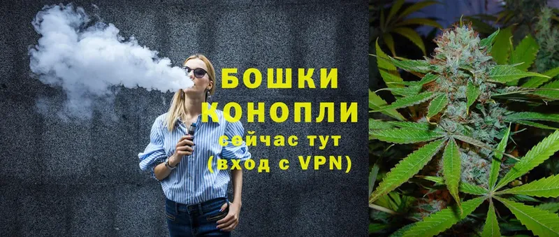 хочу   Венёв  Бошки марихуана SATIVA & INDICA 